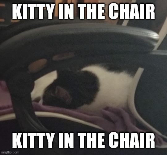 He sleeps anywhere I put that purple blanket lmao | KITTY IN THE CHAIR; KITTY IN THE CHAIR | made w/ Imgflip meme maker
