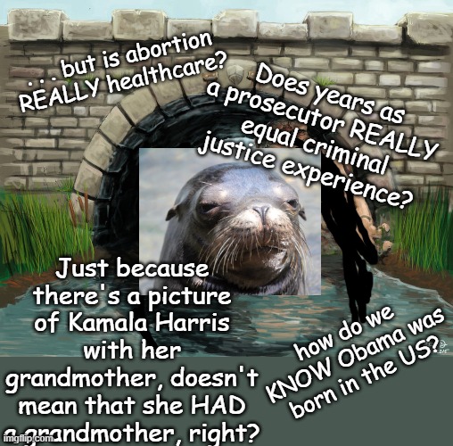 The Trolls are always with us | . . . but is abortion REALLY healthcare? Does years as a prosecutor REALLY equal criminal justice experience? Just because there's a picture of Kamala Harris with her grandmother, doesn't mean that she HAD a grandmother, right? how do we KNOW Obama was born in the US? | image tagged in troll bridge,sealion,shifty sealion,not innocent,questions | made w/ Imgflip meme maker