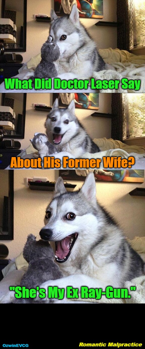 Romantic Malpractice | What Did Doctor Laser Say; About His Former Wife? "She's My Ex Ray-Gun."; Romantic Malpractice; OzwinEVCG | image tagged in dogs,puns,doctors,questions,divorce,answers | made w/ Imgflip meme maker