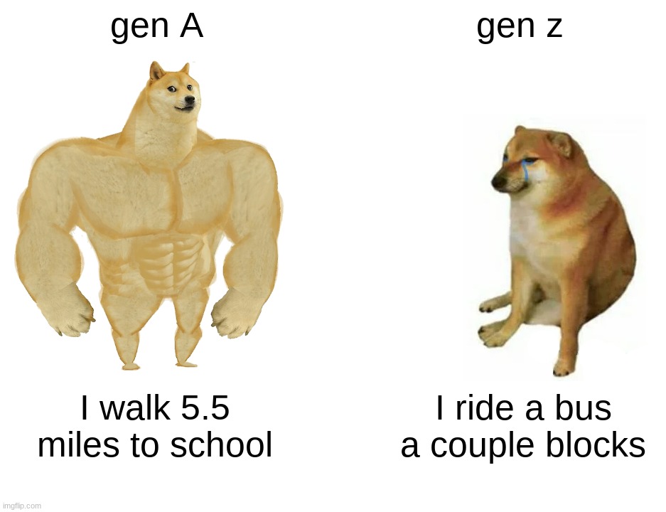 Buff Doge vs. Cheems Meme | gen A; gen z; I walk 5.5 miles to school; I ride a bus a couple blocks | image tagged in memes,buff doge vs cheems | made w/ Imgflip meme maker