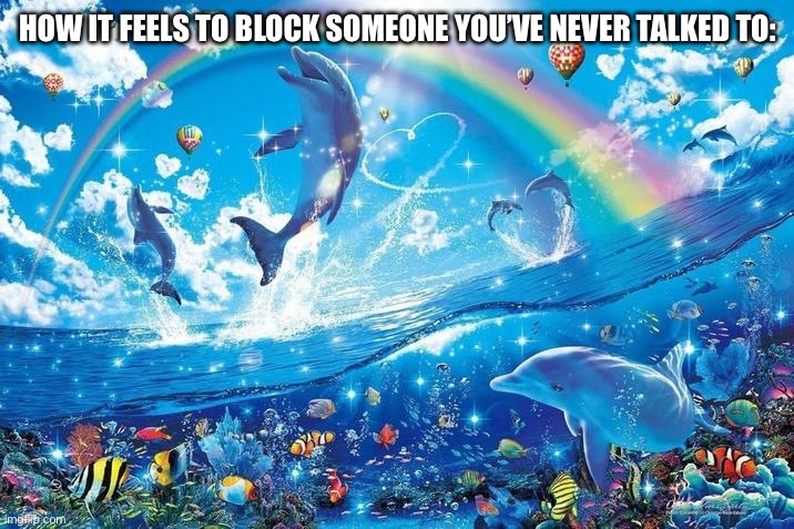 Happy dolphin rainbow | HOW IT FEELS TO BLOCK SOMEONE YOU’VE NEVER TALKED TO: | image tagged in happy dolphin rainbow | made w/ Imgflip meme maker