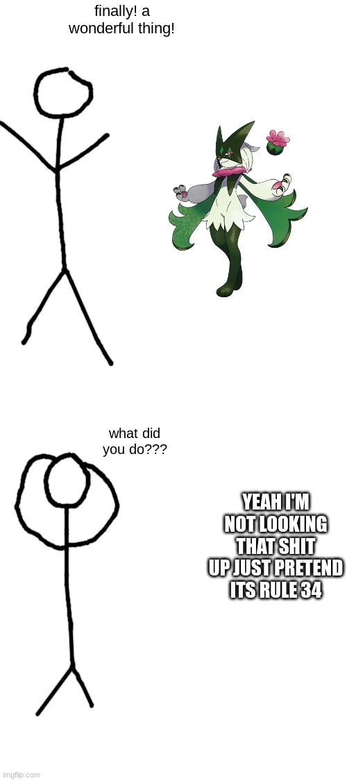 finally a wonderful thing what did you do | YEAH I'M NOT LOOKING THAT SHIT UP JUST PRETEND ITS RULE 34 | image tagged in finally a wonderful thing what did you do | made w/ Imgflip meme maker