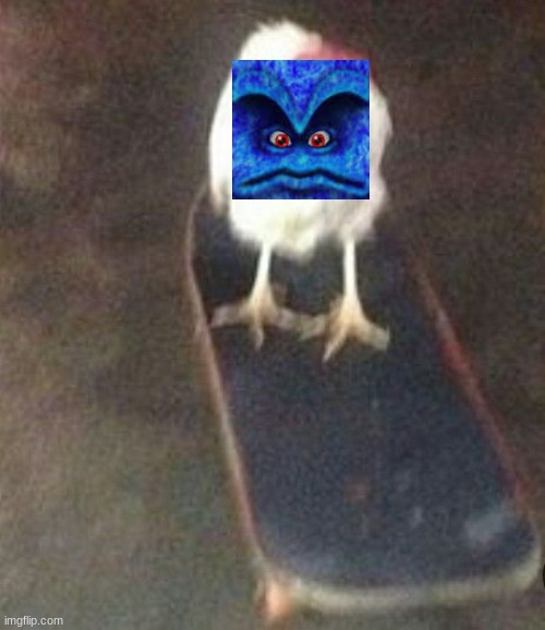 Dog on skateboard | image tagged in dog on skateboard | made w/ Imgflip meme maker