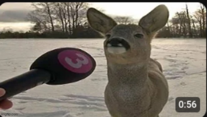 Breaking news ahh deer | made w/ Imgflip meme maker