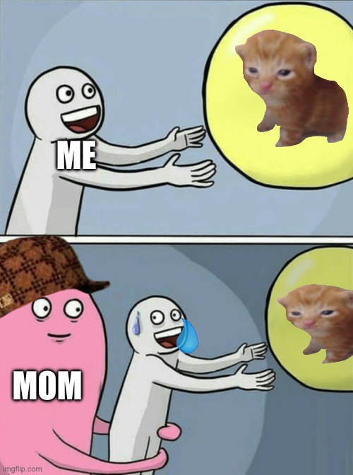 I love cats | ME; MOM | image tagged in memes,running away balloon | made w/ Imgflip meme maker