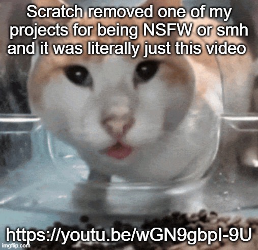 Mr Shock stare | Scratch removed one of my projects for being NSFW or smh and it was literally just this video; https://youtu.be/wGN9gbpI-9U | image tagged in mr shock stare | made w/ Imgflip meme maker