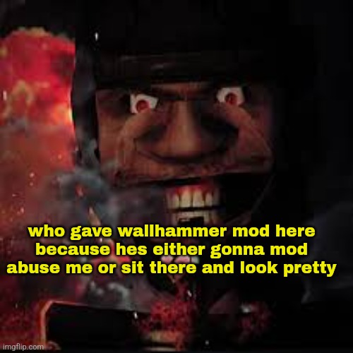 who gave wallhammer mod here because hes either gonna mod abuse me or sit there and look pretty | made w/ Imgflip meme maker