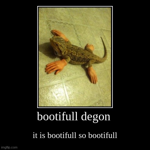 bootifull, just bootifull | bootifull degon | it is bootifull so bootifull | image tagged in funny,demotivationals | made w/ Imgflip demotivational maker