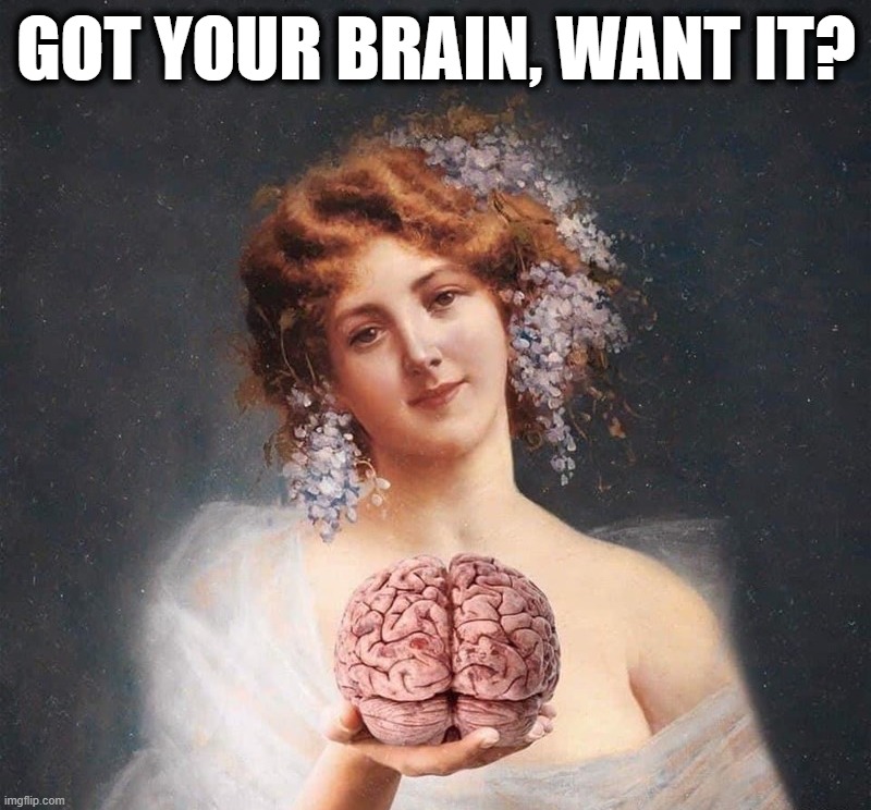 brain | GOT YOUR BRAIN, WANT IT? | image tagged in brain | made w/ Imgflip meme maker