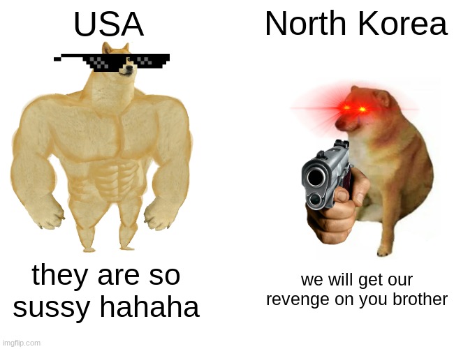 but why | USA; North Korea; they are so sussy hahaha; we will get our revenge on you brother | image tagged in memes,buff doge vs cheems,omg,north korea,oh yeah oh no,why | made w/ Imgflip meme maker