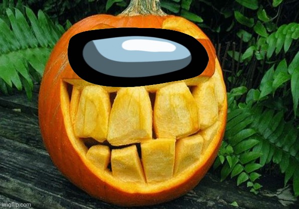 Pumpkin | image tagged in pumpkin | made w/ Imgflip meme maker