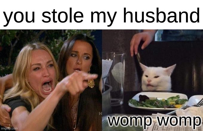 Woman Yelling At Cat Meme | you stole my husband; womp womp | image tagged in memes,woman yelling at cat | made w/ Imgflip meme maker