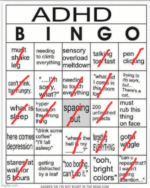 maybe I have adhd… | image tagged in adhd bingo | made w/ Imgflip meme maker