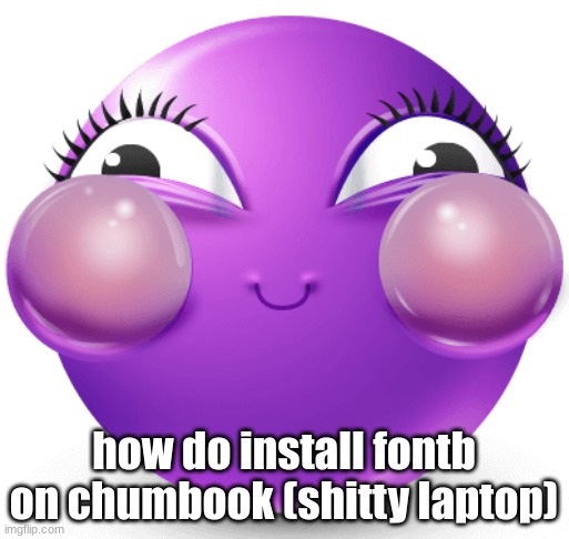 i am fucking insane | how do install fontb on chumbook (shitty laptop) | image tagged in i am fucking insane | made w/ Imgflip meme maker