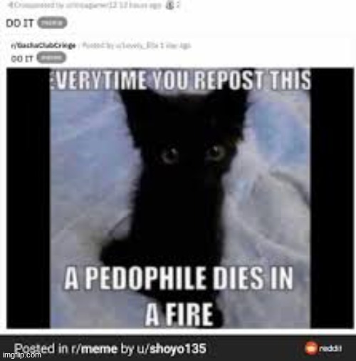 REPOST THIS | image tagged in repost this,do it | made w/ Imgflip meme maker