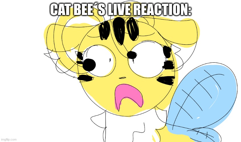 CAT BEE´S LIVE REACTION: | made w/ Imgflip meme maker