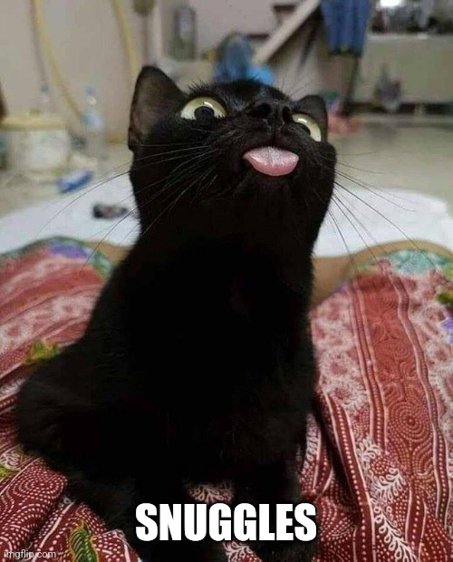 BLACK CAT TONGUE | SNUGGLES | image tagged in black cat tongue | made w/ Imgflip meme maker