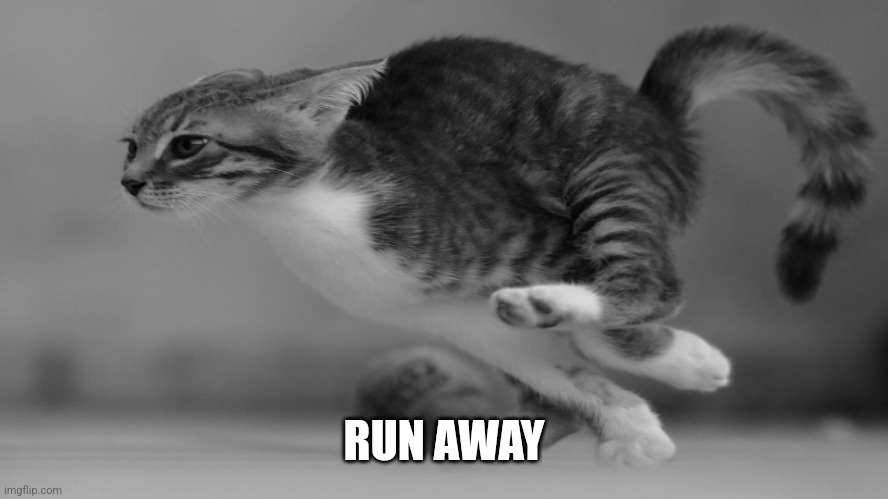 Fast running cat | RUN AWAY | image tagged in fast running cat | made w/ Imgflip meme maker