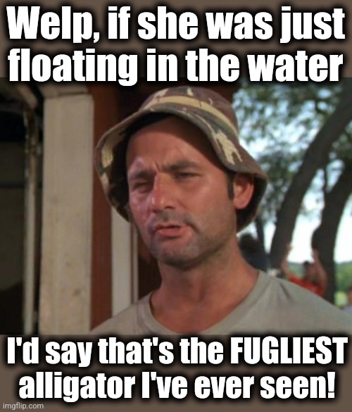 So I Got That Goin For Me Which Is Nice Meme | Welp, if she was just
floating in the water I'd say that's the FUGLIEST alligator I've ever seen! | image tagged in memes,so i got that goin for me which is nice | made w/ Imgflip meme maker