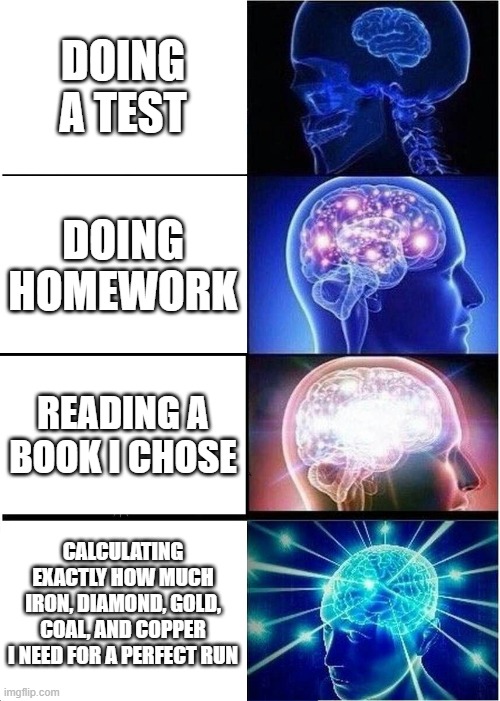 Expanding Brain | DOING A TEST; DOING HOMEWORK; READING A BOOK I CHOSE; CALCULATING EXACTLY HOW MUCH IRON, DIAMOND, GOLD, COAL, AND COPPER I NEED FOR A PERFECT RUN | image tagged in memes,expanding brain | made w/ Imgflip meme maker