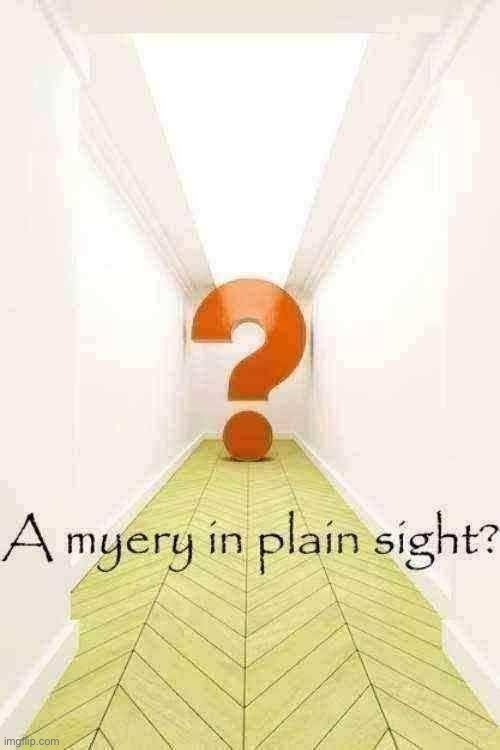 The Myeryrooms | image tagged in a myery in plain sight | made w/ Imgflip meme maker