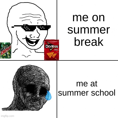 pure depresion | me on summer break; me at summer school | image tagged in happy wojak vs depressed wojak | made w/ Imgflip meme maker