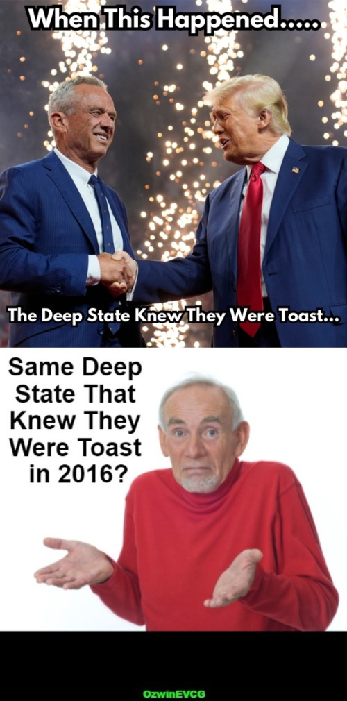 Goldfish 21st Century | image tagged in rfk jr,donald trump,bad memory,facts vs feelings,deep state,rigged elections | made w/ Imgflip meme maker