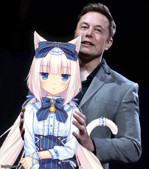 Crazy | image tagged in ellon musk with white haired catgirl | made w/ Imgflip meme maker