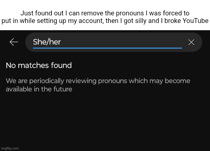 Women aren't real | Just found out I can remove the pronouns I was forced to put in while setting up my account, then I got silly and I broke YouTube | made w/ Imgflip meme maker