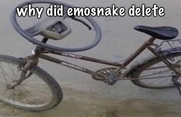 i keep making weird ass templates someone help | why did emosnake delete | image tagged in i keep making weird ass templates someone help | made w/ Imgflip meme maker