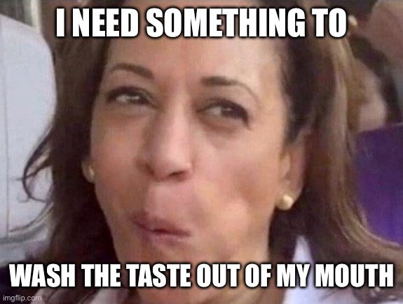 Kamala Harris | I NEED SOMETHING TO WASH THE TASTE OUT OF MY MOUTH | image tagged in kamala harris | made w/ Imgflip meme maker