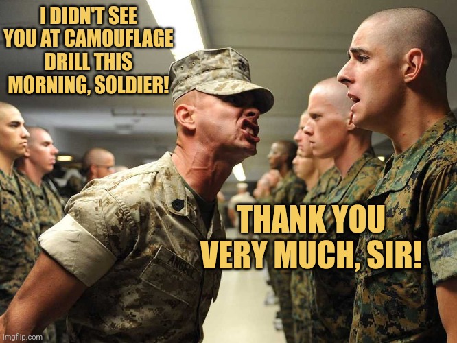 Officer Petty | I DIDN'T SEE YOU AT CAMOUFLAGE DRILL THIS MORNING, SOLDIER! THANK YOU VERY MUCH, SIR! | image tagged in shouting soldiers,camouflage,army,memes | made w/ Imgflip meme maker