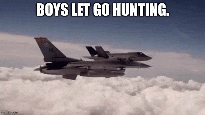 group f 15 | BOYS LET GO HUNTING. | image tagged in gourps of f 15s | made w/ Imgflip meme maker