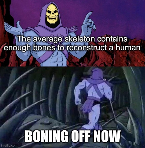 Boning off | The average skeleton contains enough bones to reconstruct a human; BONING OFF NOW | image tagged in he man skeleton advices,bones,skeleton | made w/ Imgflip meme maker