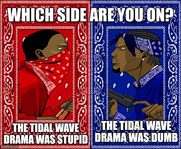 WHICH SIDE ARE YOU ON? | THE TIDAL WAVE DRAMA WAS STUPID; THE TIDAL WAVE DRAMA WAS DUMB | image tagged in which side are you on | made w/ Imgflip meme maker