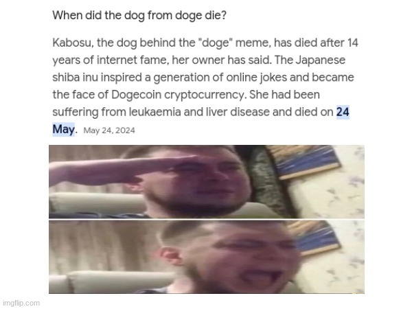 Goodbye Doge | image tagged in sad but true | made w/ Imgflip meme maker