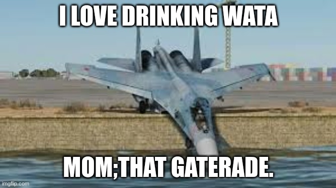 su 27 memes | I LOVE DRINKING WATA; MOM;THAT GATERADE. | image tagged in su 27 drinking water | made w/ Imgflip meme maker