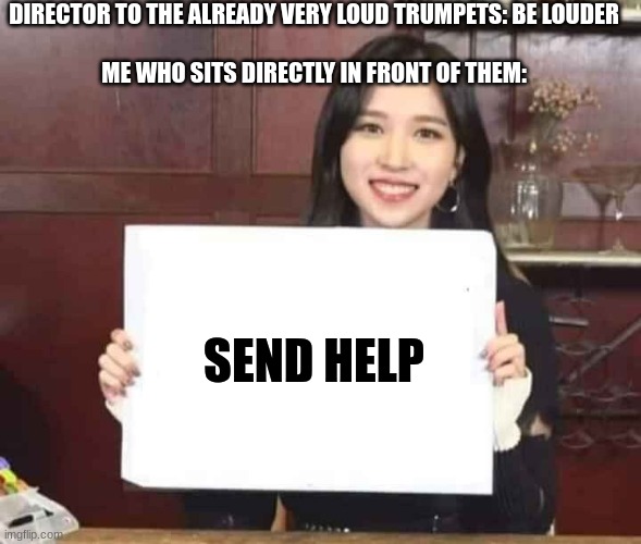 HELP! | DIRECTOR TO THE ALREADY VERY LOUD TRUMPETS: BE LOUDER
 
ME WHO SITS DIRECTLY IN FRONT OF THEM:; SEND HELP | image tagged in send help,band,deaf,trumpet,loud | made w/ Imgflip meme maker