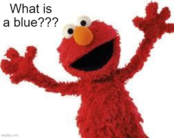 some people say I am blue | What is a blue??? | image tagged in elmo | made w/ Imgflip meme maker