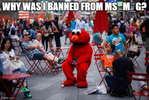 but why? | WHY WAS I BANNED FROM MS_M_G? | image tagged in sad elmo | made w/ Imgflip meme maker