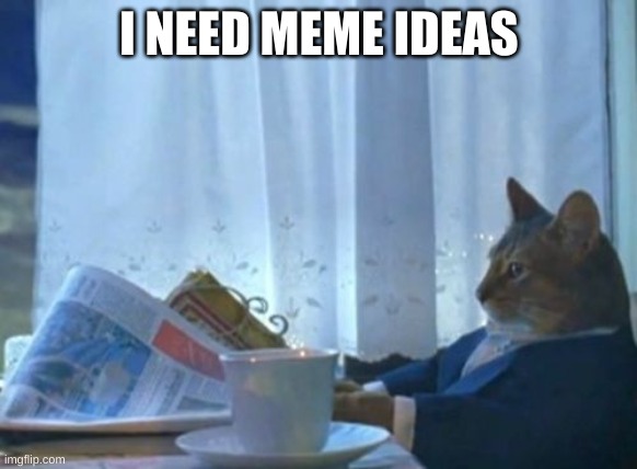 guys, plz, i'll credit you | I NEED MEME IDEAS | image tagged in memes,i should buy a boat cat | made w/ Imgflip meme maker