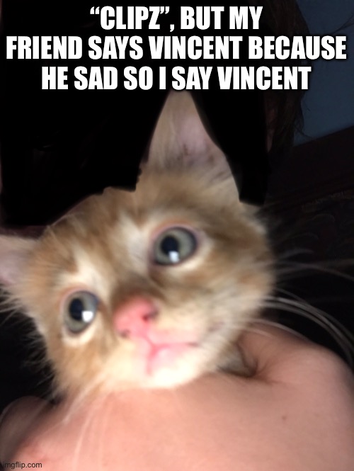 “CLIPZ”, BUT MY FRIEND SAYS VINCENT BECAUSE HE SAD SO I SAY VINCENT | made w/ Imgflip meme maker