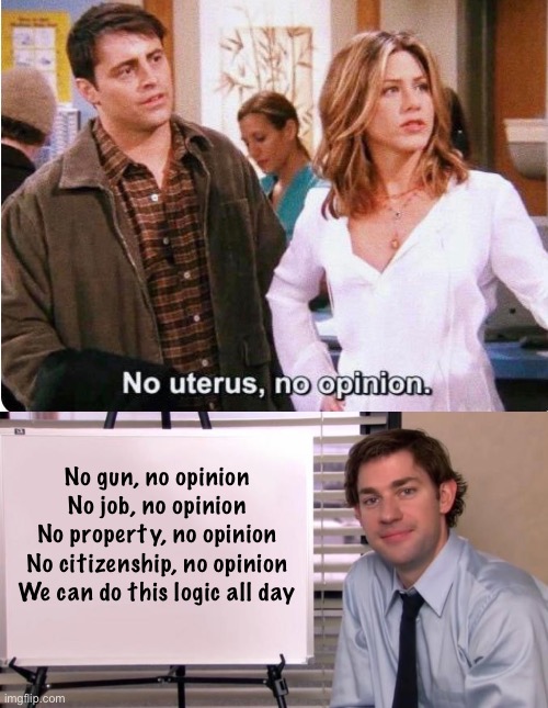 seems like good logic | No gun, no opinion 
No job, no opinion 
No property, no opinion 
No citizenship, no opinion 

We can do this logic all day | image tagged in jim halpert explains,politics lol,memes | made w/ Imgflip meme maker