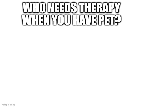 WHO NEEDS THERAPY WHEN YOU HAVE PET? | made w/ Imgflip meme maker