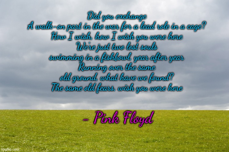 Empty Field | Did you exchange
A walk-on part in the war for a lead role in a cage?

How I wish, how I wish you were here
We're just two lost souls swimming in a fishbowl, year after year
Running over the same old ground, what have we found?
The same old fears, wish you were here; - Pink Floyd | image tagged in empty field | made w/ Imgflip meme maker