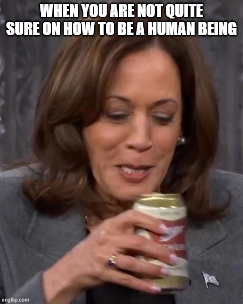 not even human | WHEN YOU ARE NOT QUITE SURE ON HOW TO BE A HUMAN BEING | image tagged in stupid liberals,funny memes,political humor,donald trump approves | made w/ Imgflip meme maker