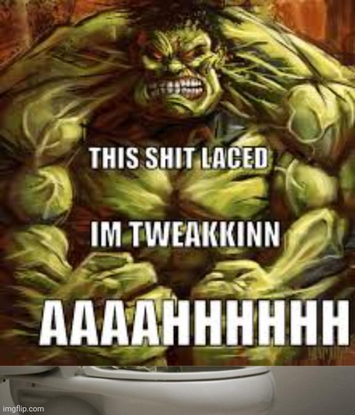 ㅤ | image tagged in this shit laced,money down toilet | made w/ Imgflip meme maker