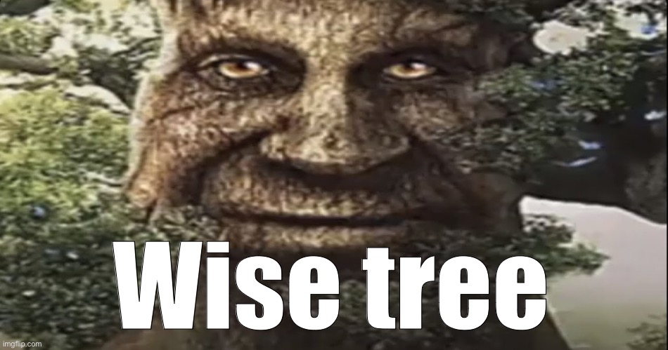 JohnAmerica Supports TeamTrees | Wise tree | image tagged in wise mystical tree | made w/ Imgflip meme maker