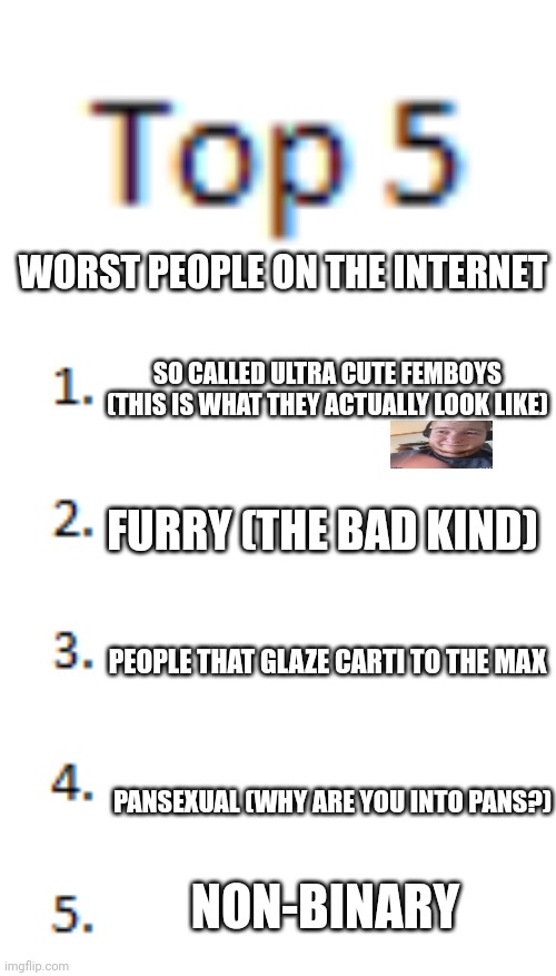 Top 5 List | WORST PEOPLE ON THE INTERNET; SO CALLED ULTRA CUTE FEMBOYS (THIS IS WHAT THEY ACTUALLY LOOK LIKE); FURRY (THE BAD KIND); PEOPLE THAT GLAZE CARTI TO THE MAX; PANSEXUAL (WHY ARE YOU INTO PANS?); NON-BINARY | image tagged in top 5 list | made w/ Imgflip meme maker