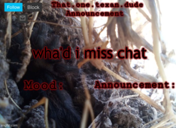 THE that.one.texan.dude announcement template | wha'd i miss chat | image tagged in the that one texan dude announcement template | made w/ Imgflip meme maker